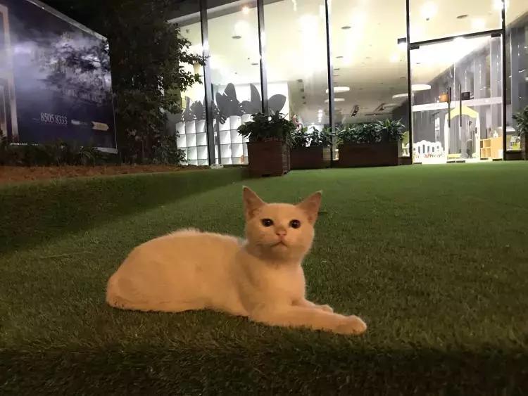 舍不得删的30张图片,几千张照片不舍得删除