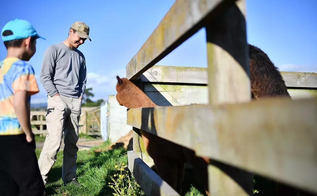 有超大草坪的庄园,大型生态农场庄园10万亩