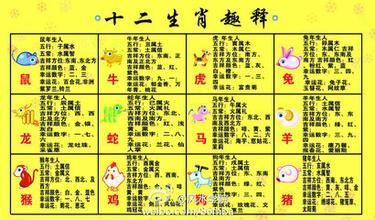 生肖配对大全,一般生肖的最佳配对
