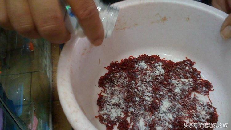 深秋夜钓黑坑鲤鱼用红虫,深秋夜钓鲫鱼可以用红虫吗