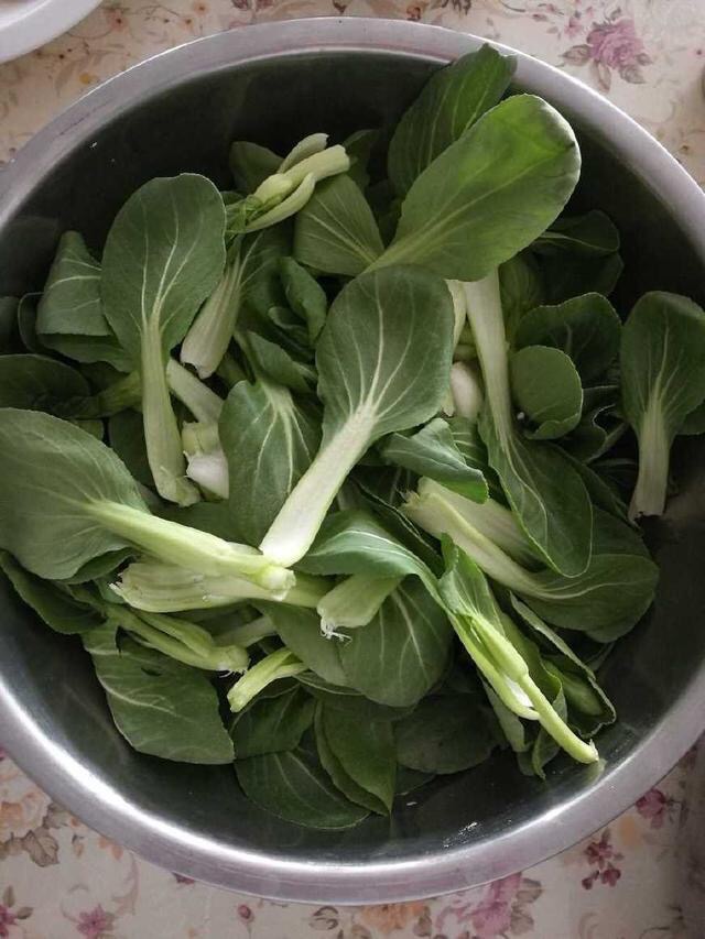 为什么吃青菜感觉到是苦的,青菜吃起来是苦的怎么回事啊