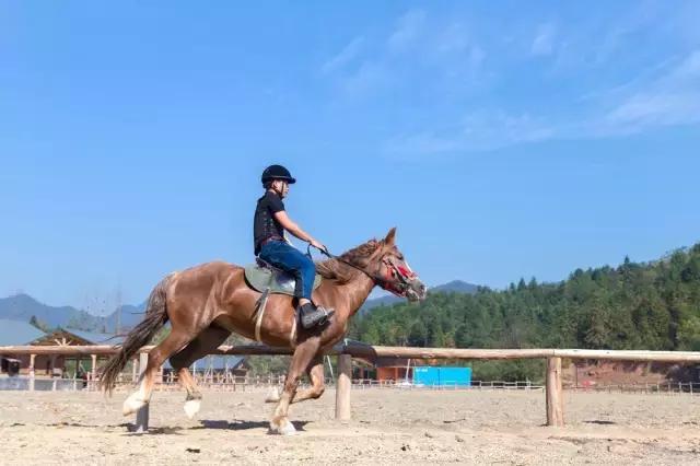 这片媲美京都的红叶之森只藏15栋梦幻树屋，杭州1.5h直达！