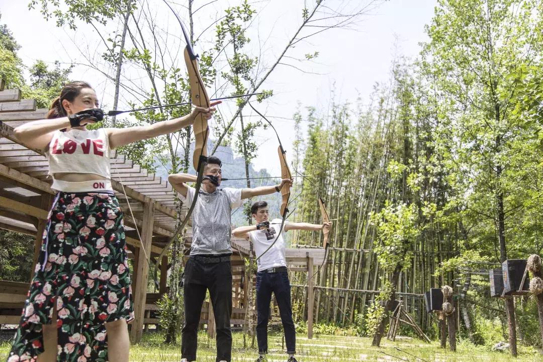 这片媲美京都的红叶之森只藏15栋梦幻树屋，杭州1.5h直达！