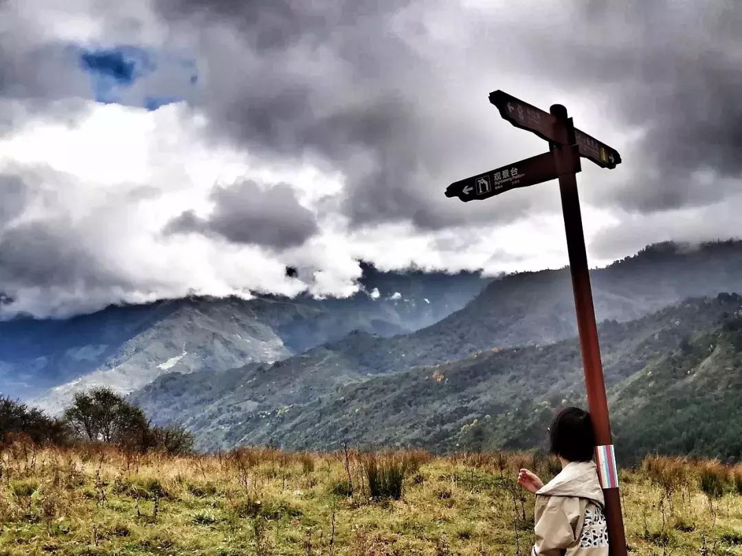 手机摄影人像摄影作品欣赏,手机摄影作品分析