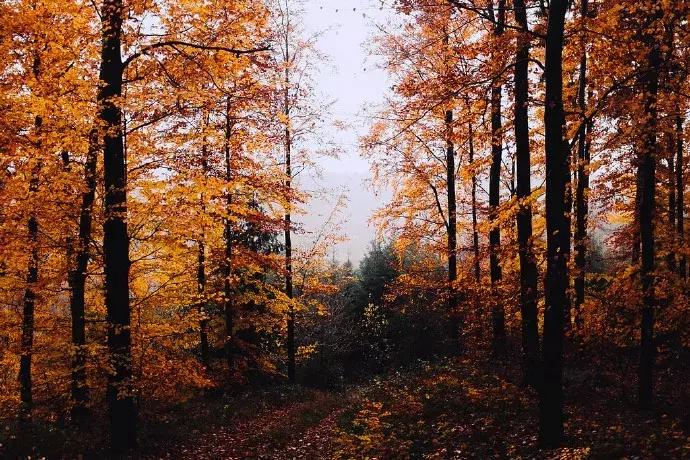 返璞归真南怀瑾,南怀瑾修行到什么程度
