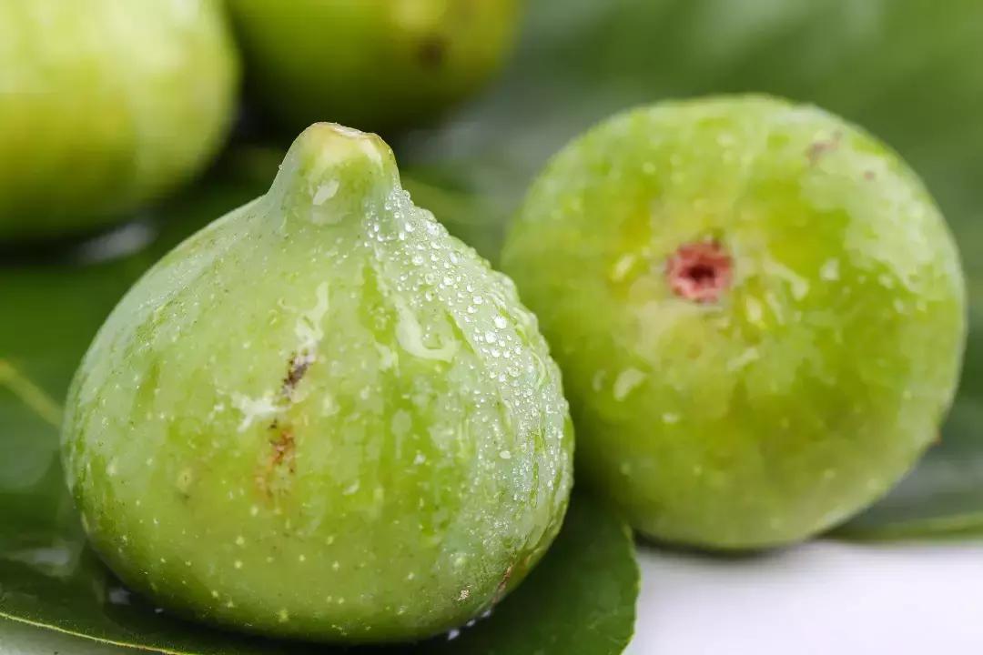 每个无花果里都有一个死黄蜂,每个无花果都藏着一个尸体吗