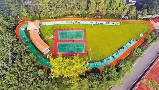 沙坪坝今日关注,沙坪坝人