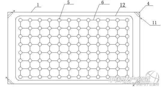 南美对虾哪里养殖最好,养殖南美对虾的步骤方法