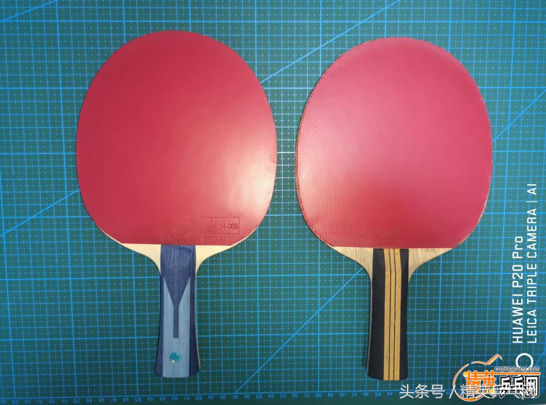 洪家铁线拳怎么练,洪家铁线拳全套演示