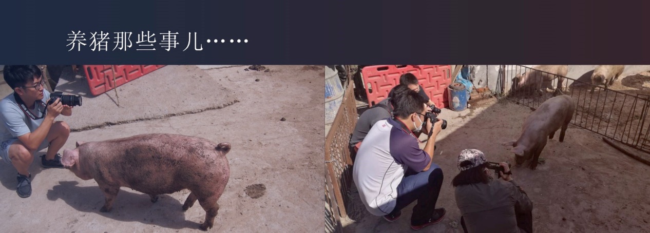 京东金融是京东数科旗下的大品牌,京东数字科技能借壳上市吗