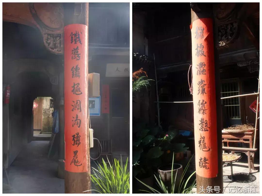 兰台花开是什么,兰台花开