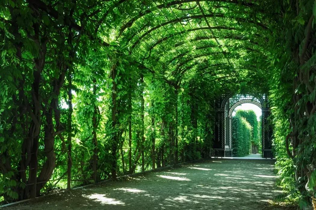 那山，那水，那罗曼蒂克的奥地利～