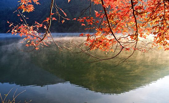 天凉好个秋，一起来感受秋日广东乡村的多样色彩吧！