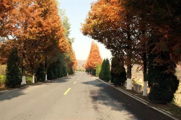 秋天的安徽,这才是安徽秋天该有的样子