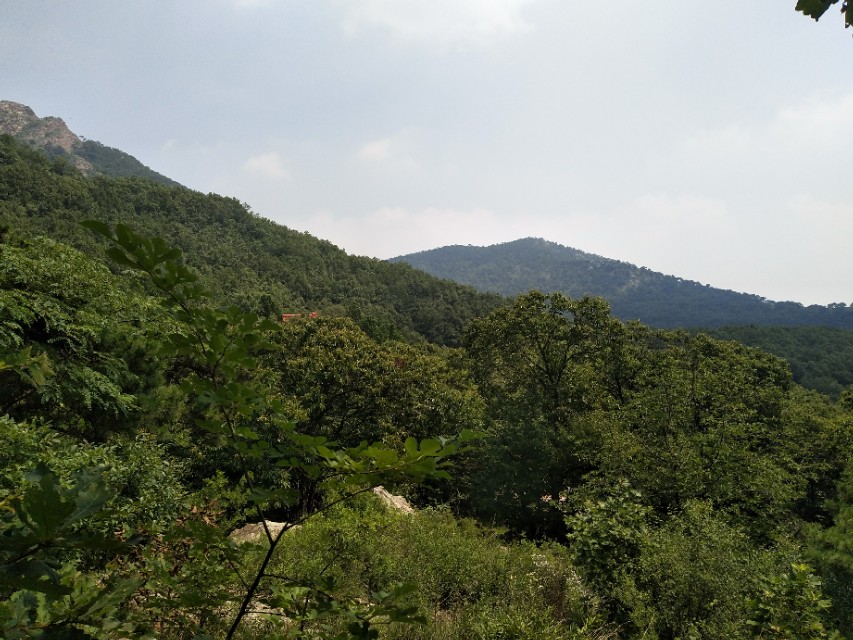 抵达加拿大,到达加拿大步骤