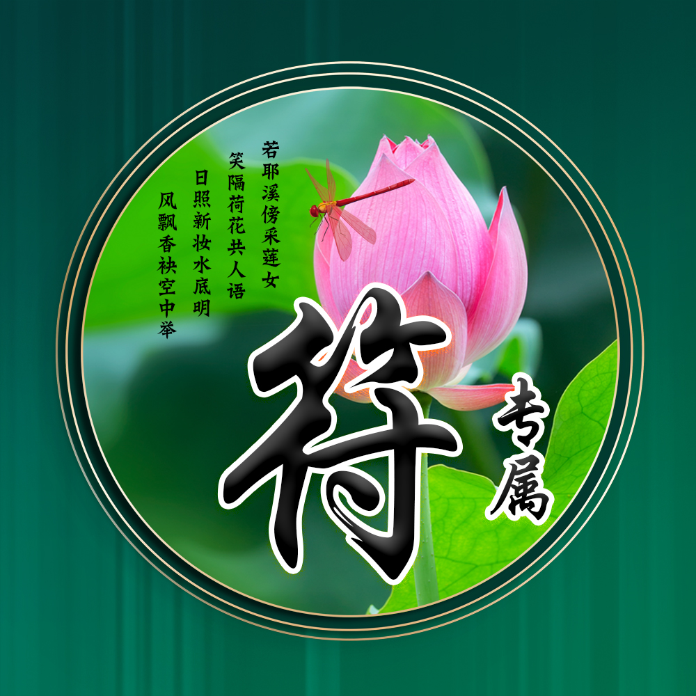 100张唯美荷花姓氏头像,适合做头像的荷花图片清晰点的