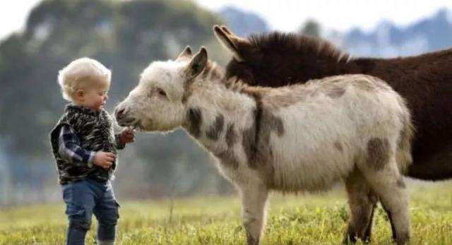 全国特别罕见的血液,最近发现的新型血液是什么