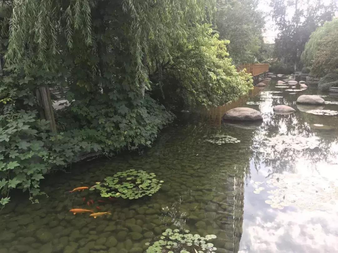 石家庄长安区房价最新价格表,石家庄二环内房价多少钱一平