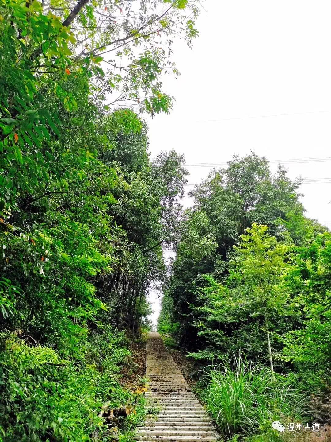 瓯海瞿溪风景,远山近水如诗如画