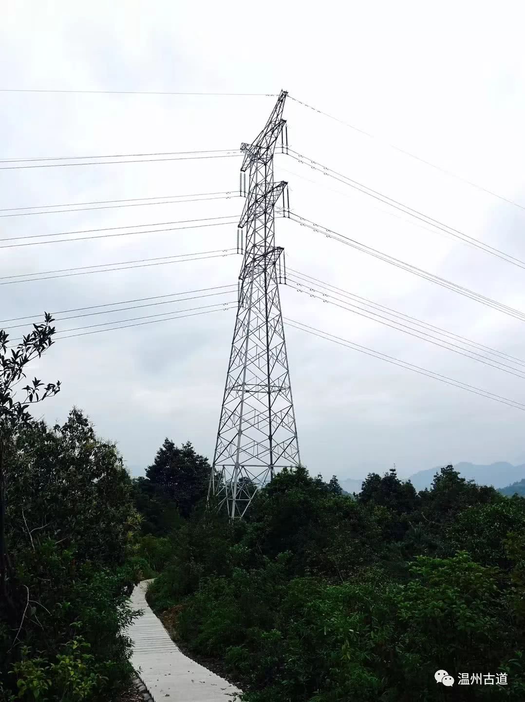 瓯海瞿溪风景,远山近水如诗如画