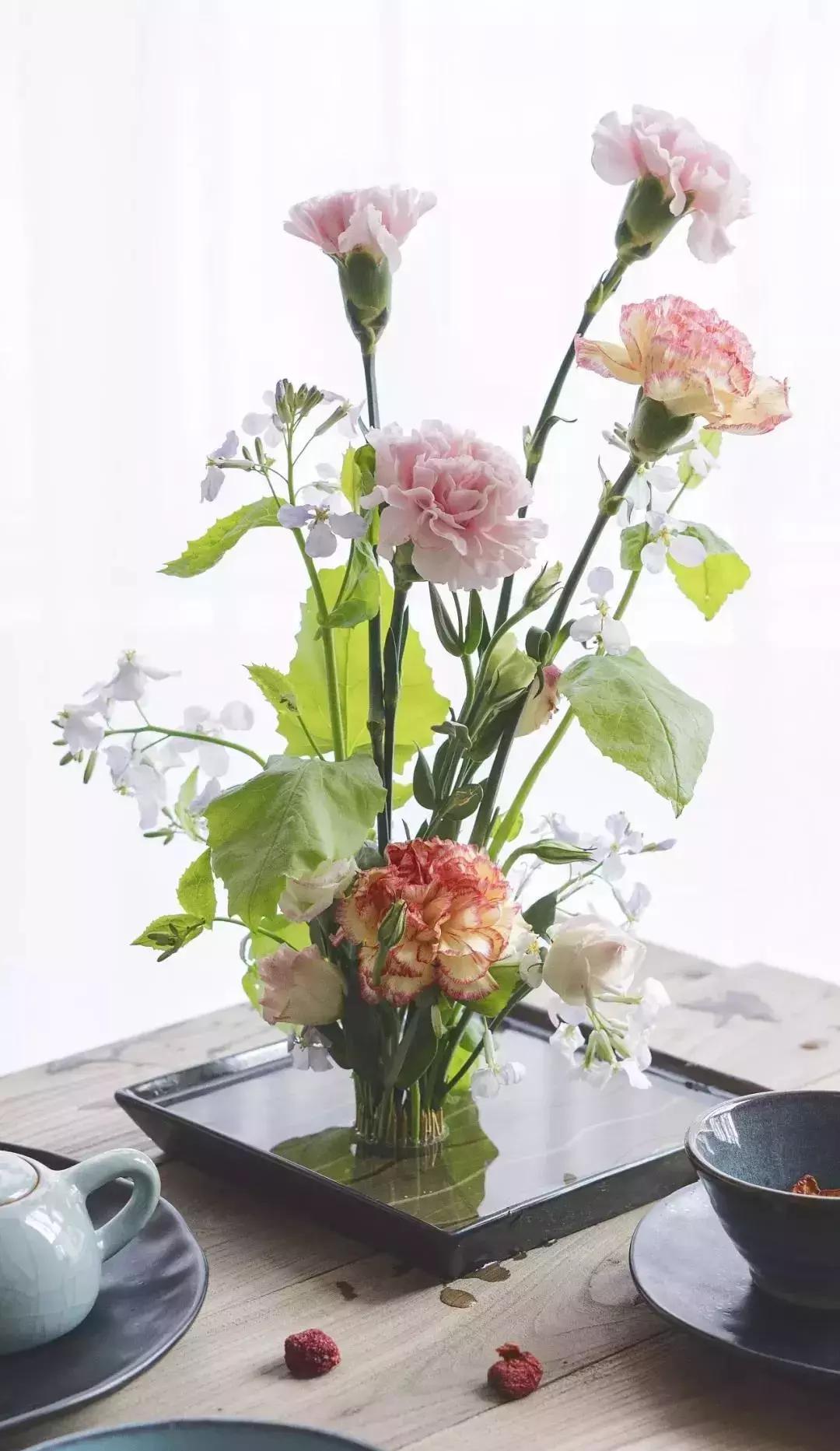 50种鲜切花花语大全，一定有你不知道的，赶紧收藏吧！