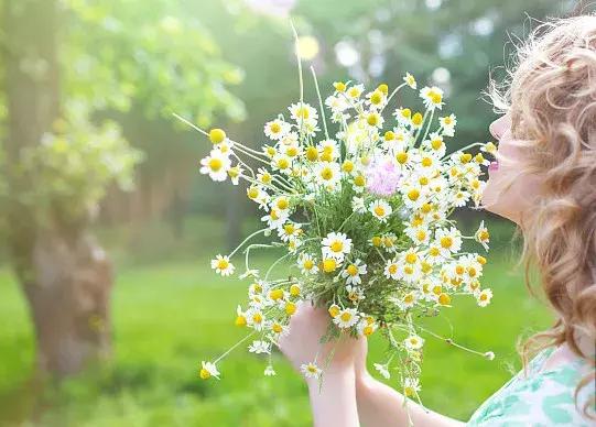 50种鲜切花花语大全，一定有你不知道的，赶紧收藏吧！