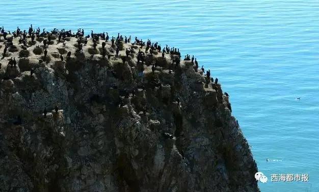 美爆了一大波青海冬日奇景,青海神秘奇景