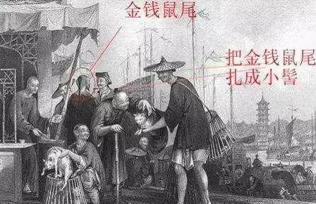 大清朝男士发型,清朝时期的男人是什么发型图片