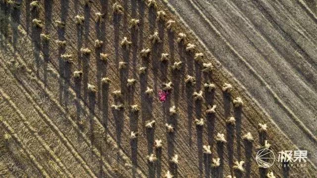 大疆哈苏大片,大疆120倍变焦版