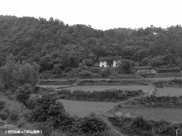 我的岳父岳母是我父母,我的岳父岳母完整版