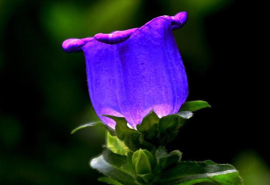 没有脾气才是一个人最好的修养,对于没脾气的人是怎么样的看法