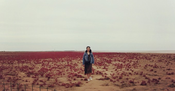 东营黄河入海口旅游攻略,东营河海交汇旅游攻略