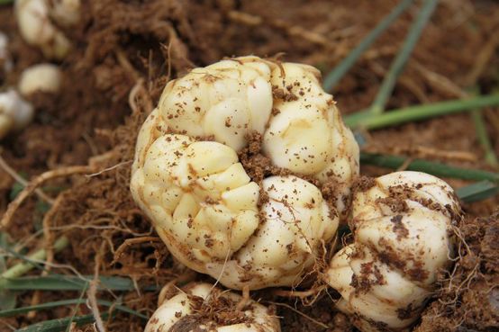 宜兴精致好吃又景色好的地方,宜兴最美的地方和美食