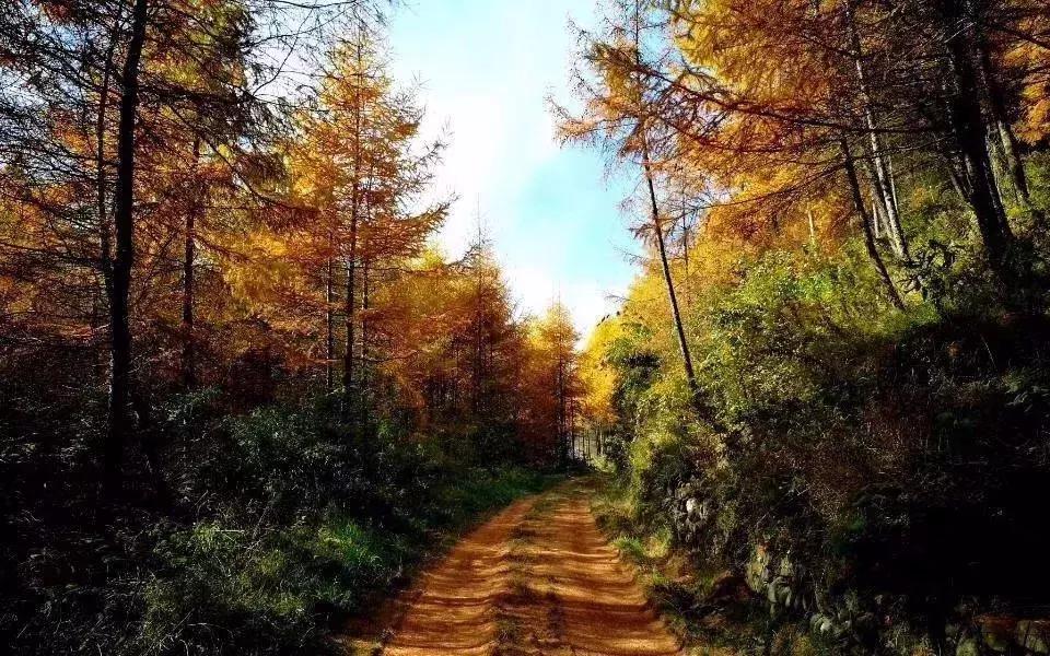 阿坝赏秋一日游,带你看阿坝州秋天的美景