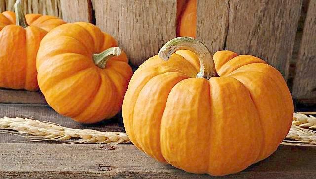 营养不良气血不足吃什么食补,气血不足百病生食疗