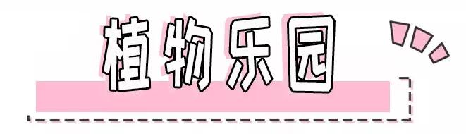 sk-ii算不算大品牌,sk-ii什么档次