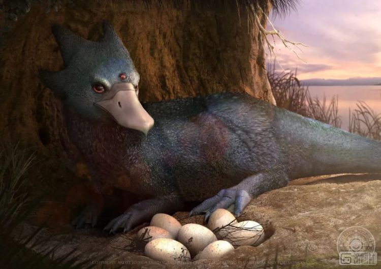 现实世界里有各种各样的宝可梦,真实世界的宝可梦长什么样