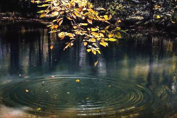 清代诗最好的古诗,清诗三百首经典欣赏
