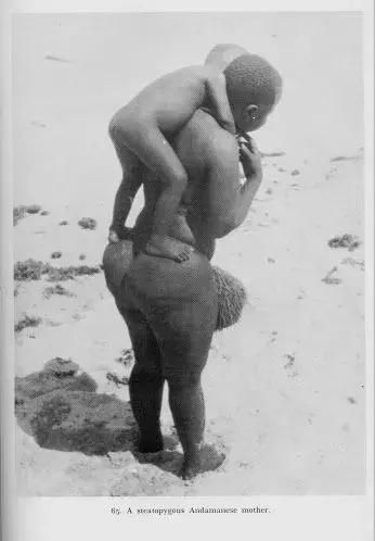 非洲人分几种黑法