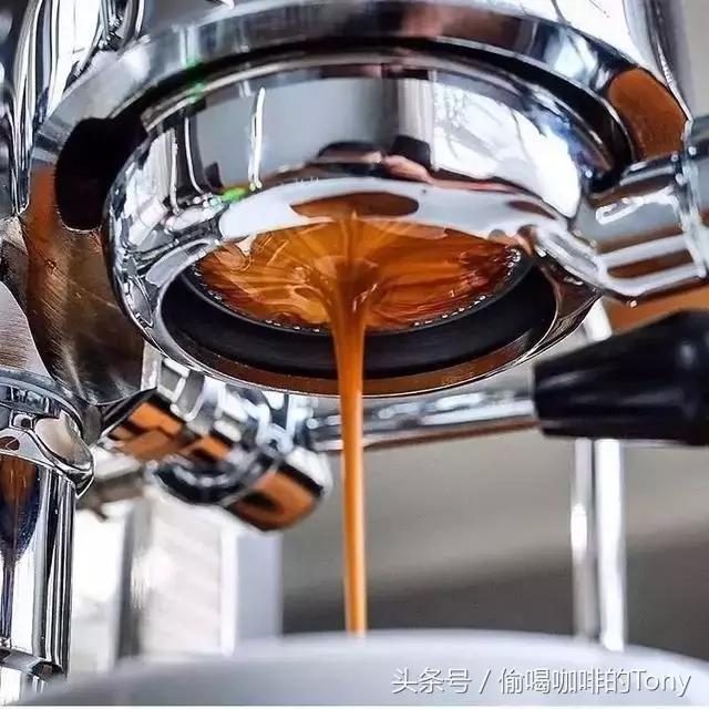 中国女排喝的茶,中国女排喝咖啡