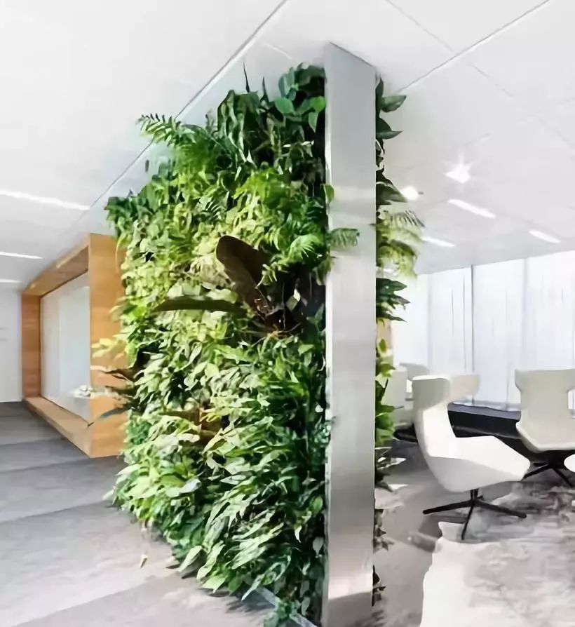 室外墙体屏风图片大全,绿化屏风