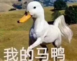 放生1瓶矿泉水，解救八万四千虫？矿泉水厂：你家水里才有虫！