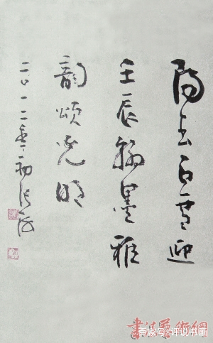 对张海书法的评价,怎么评价张海书法家的字