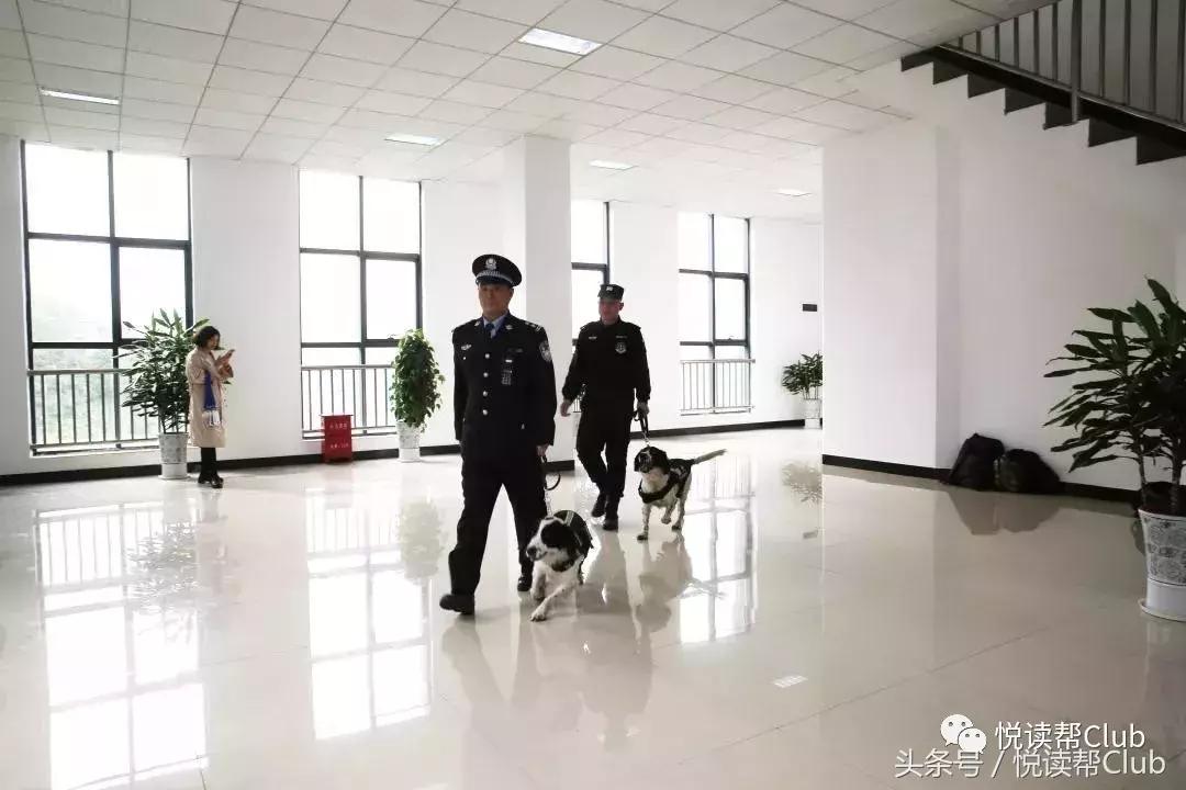 老外挑战贵州坝陵河大桥蹦极,老外在峡谷跳伞