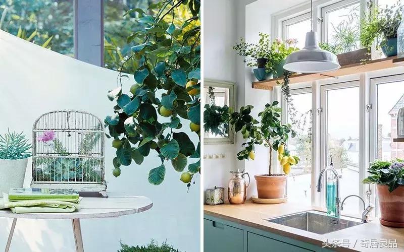 这10件小事，让我在秋日的家里更幸福！