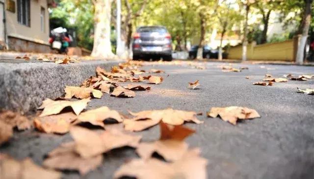 想带着你一起去旅行文案,如果有可能我带你去旅行