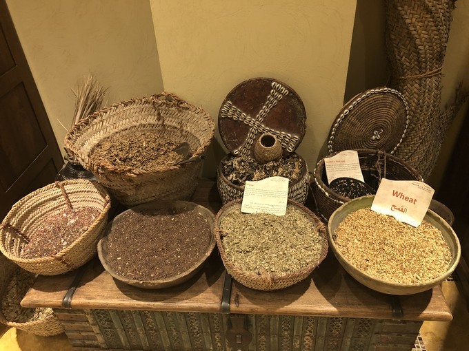 阿联酋沙漠之旅骑着骆驼去旅行,记录一次说走就走的阿联酋迪拜游