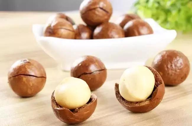 狗狗不能吃的食物完整版,狗狗手术后三种食物不能吃