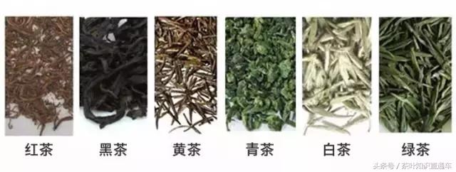 茗和茶有什么区别,莓茶与藤茶的区别