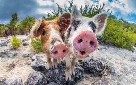 人少景美的岛屿,人少景美不要门票